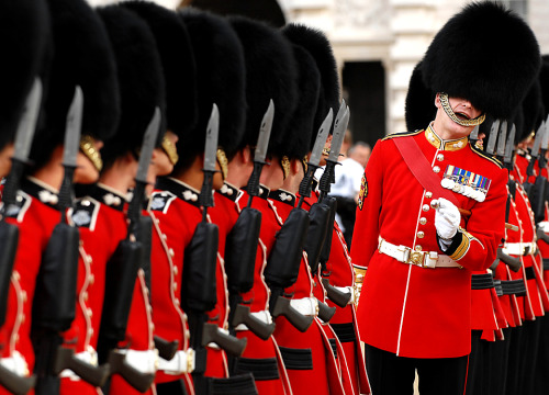 PUFFED DADDIES A regimental sergeant major lined up Grenadier Guards' 