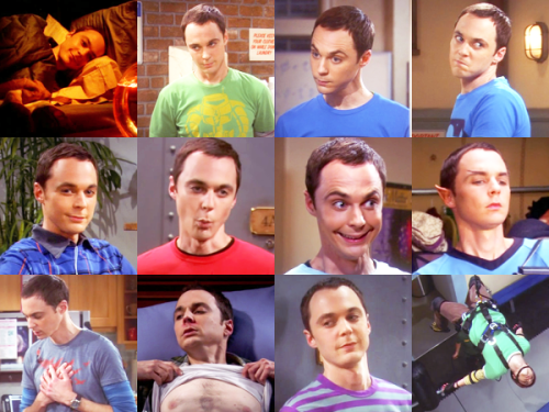 Sheldon Cooper The Big Bang TheoryThe Original Theoretical Prankster