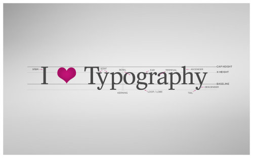 I Love Typography Wallpaper |