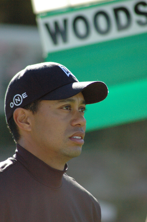 black and chinese mixed race. Tiger Woods | African American