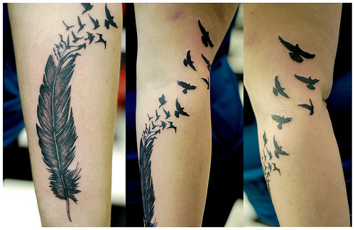peetypassion:feather n birds tattoo (via ImeanHoneyBee)