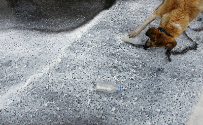 (6 april 2010)
Got milk?
.
The greek farmers infront of the parliament, spilled milk on the street.
 They protest over the highway robbery by the big dairy multinational 
companies who are buying the farmers’ milk for nothing and are
 selling it to the people at very high prices.
.
Rebel dog is on the side of the farmers. In the meanwhile he is testing 
the milk and finds it quite delicious