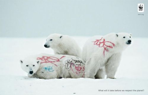WWF: Biodiversity And Biosafety Awareness, Polar bear | Ads of the World