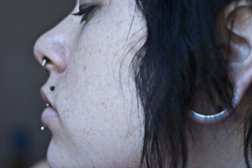 Posted August 3, 2010 at 2:00pm in lip piercings septum piercing stretched 
