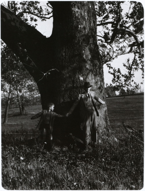 One of Pennsylvania’s largest  and oldest trees, the John Goodway Sycamore in Linglestown, is measured  by Harvey Ward and his grandson, Lester Aungst, in the late 1940s. The  tree, about 300 years old, still exists. From Who We Were: A Snapshot History of America