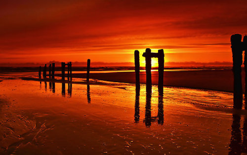 This photo has very vibrant red, orange, and yellow, contrasted by the silhouettes in the foreground.