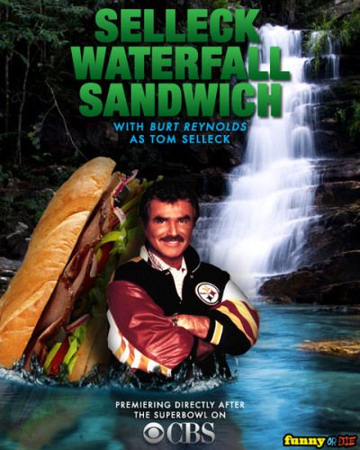 Selleck Sandwich Waterfall. selleckwaterfallsandwich: