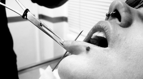 hollow piercing needles. needle middot; lip piercing