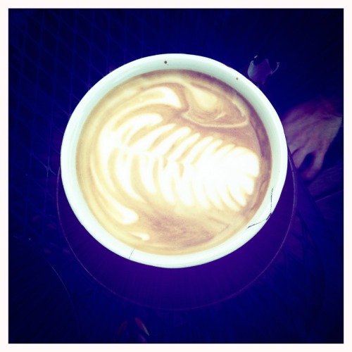 Crema in Nashville has THE BEST pumpkin spice latte. 