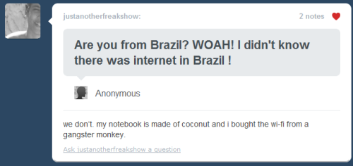 

- Você é do Brasil? WOAH! Eu não sabia que havia Internet no Brasil! 
- Nós não temos. Meu notebook é feito de coco e eu comprei o wi-fi de um macaco gangster.

