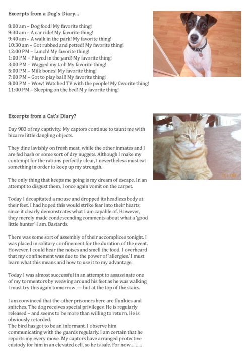 Excerpts from a dog and a cat&#8217;s diary. Hilarity.