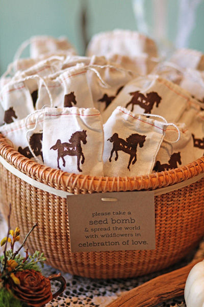 Love the cute horse design on these seed bomb favor bags