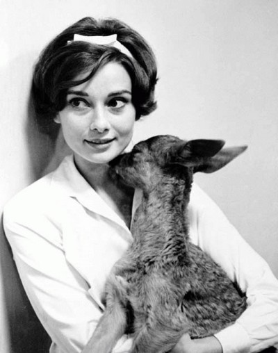keyinherpocket:

Photos of Audrey Hepburn rarely hold my interest, but I love this one.
