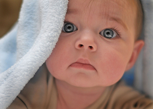 babies images photos. This baby currently fears release from his mortal coil, but knows that it is 