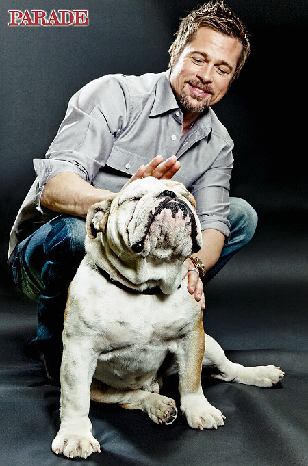 Brad Pitt and bulldog.