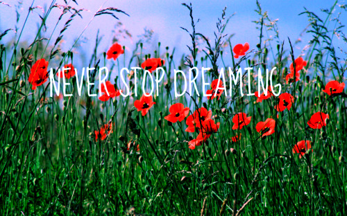 quotes about dreaming. Never Stop Dreaming