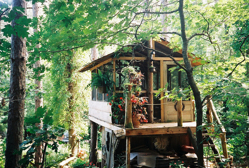This reminds me of a cabin that my Dad and I would stay at on the river during our summer camping trips. :)