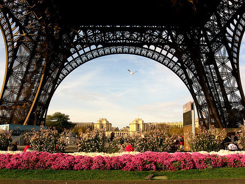 allthingseurope:
Eiffel Tower, Paris via
