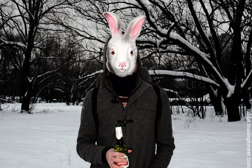 The Drunkard Rabbit (проект фотографа Maxim Pioneer)