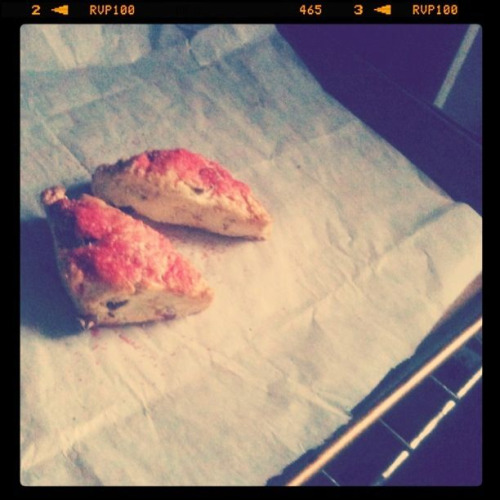February 17 |
Scones for breakfast. Toasted Coconut-Cranberry-Orange  scones at that (my own combination). Yum.