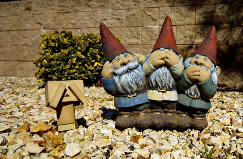 Danbo teasing the gnomes&#8230; again.