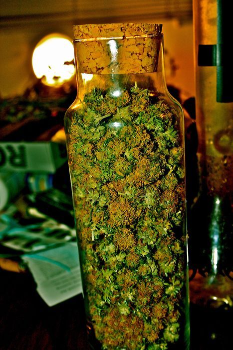 Damn that's alot of weed. 1:06 pm →