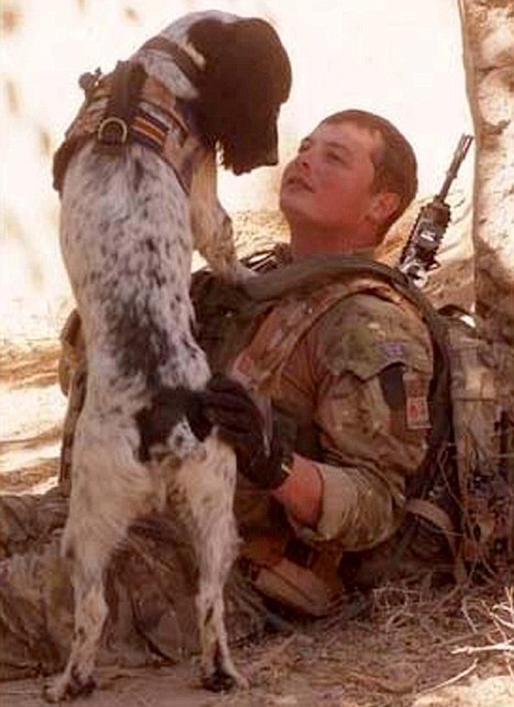 marley and me dog dies. Bomb-sniffing Army dog dies of