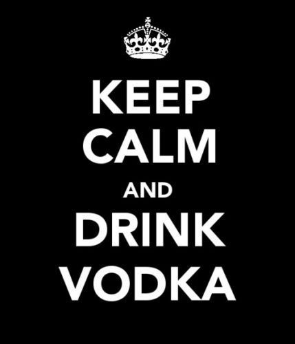 quotes and sayings about partying. quotessayingssignsvodka