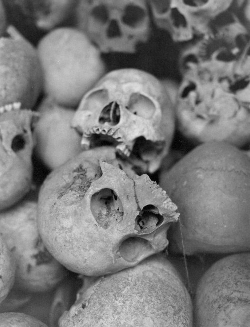 pile of skulls