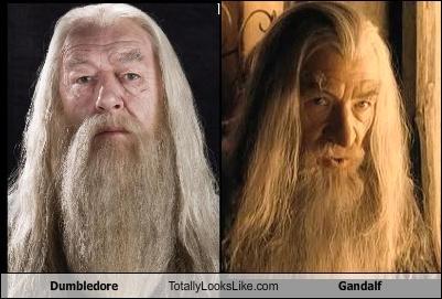 Dumbledore Totally Looks Like Gandalf