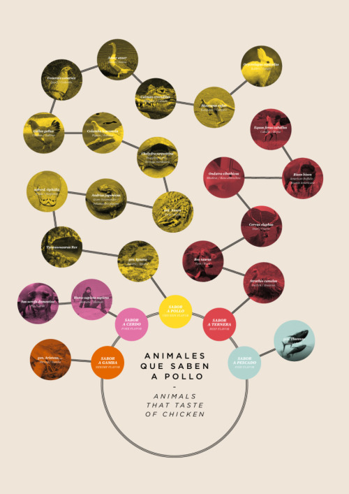 Infografía: Animales que saben a Pollo by sants serif