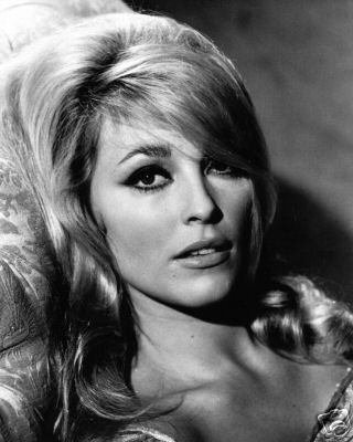 Sharon Marie Tate Posted 11 months ago 2 notes Tagged SHARON TATE