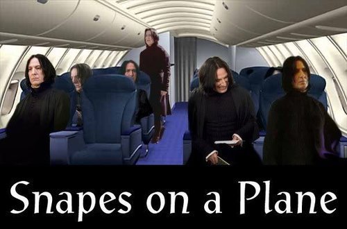 snapes on plane. snapes on a plane,