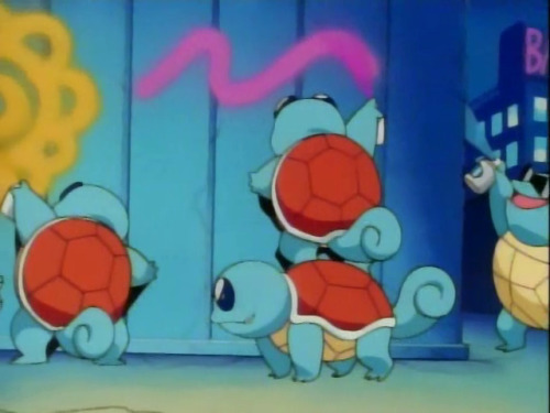 squirtle evolution. Onsquirtle, squirtle tumblrjul