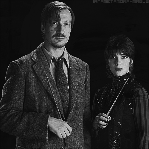 nymphadora tonks and remus lupin. Remus Lupin - 10 March 1960