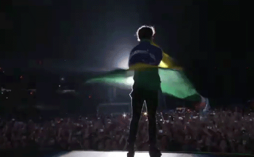 Dizem que os fãs brasileiros são os mais histéricos. É fato! Os brasileiros são guerreiros e quando conseguem o que tanto batalharam para conseguir, eles simplesmente enlouquecem. É isso que acontece nos shows. Nós vamos nos shows e ficamos absurdamente histéricos quando vemos nossos ídolos. E quando foi difícil conseguir ir ao show, nós simplesmente não conseguimos seguras as lágrimas e os gritos. Pode parecer loucura, mas é amor.