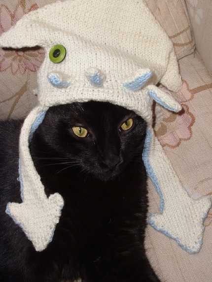 cat in hat images. Squid Hat Cat.