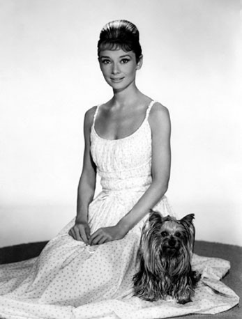 Audrey Hepburn and Mr Famous Posted 12 months ago
