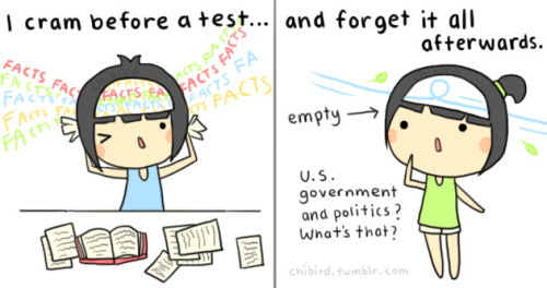 As you all may know, I’m cramming for my us gov&pol AP test tomorrow! XD Wish me luck~