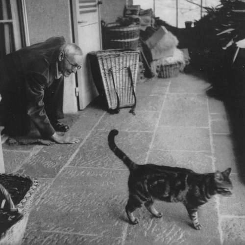 Herman Hesse and his kitty taking a break from their intellectual duties.