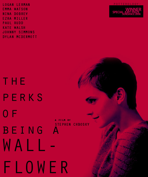 Second poster fanmade by me for The Perks of Being a Wallflower
