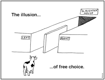 The Illusion of Free Choice.
Can’t remember where I saw this originally.