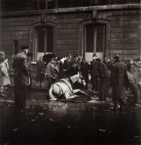 Robert Doisneau—The Fallen Horse <br />Paris, 1942&#160;
