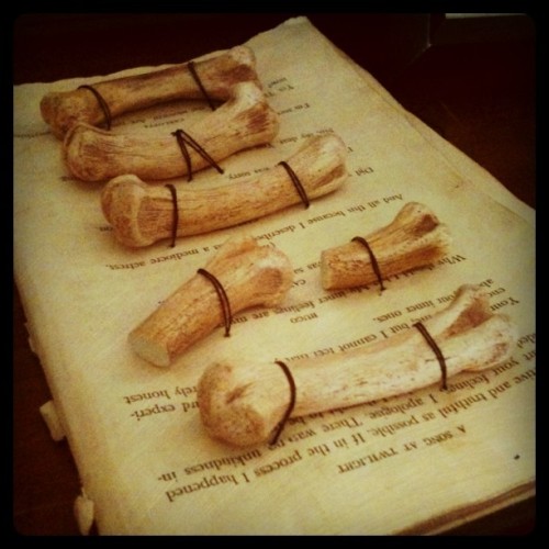 Ceramic bones I made then sewed into a book.  (Taken with instagram)