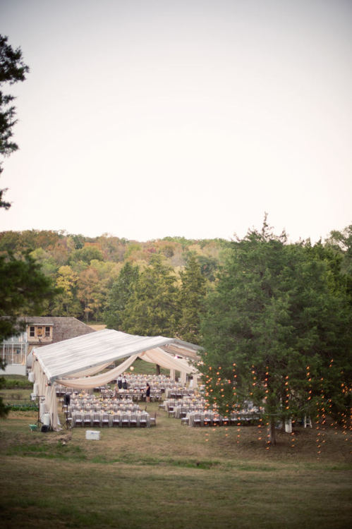 This tent is perfect for an outdoor celebration - love how nice & open everything is. 