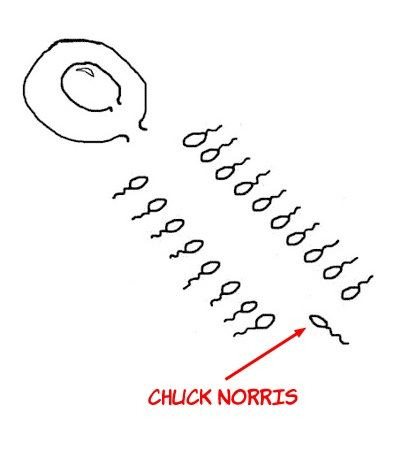 Chuck Norris sempre foi respeitado… SEMPRE!