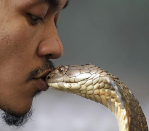 Beijando a cobra né sem vergonha.