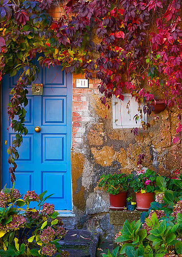 Colors- Tuscany, Italy
(by PHOTOBUSTER74)