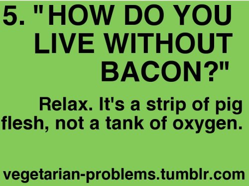 fitandhealthyforlifee:

rene-says-skinny:

supervegan:

I lol’d.

i can’t even count how many times I’ve been asked this

AMEN. 

Ha!