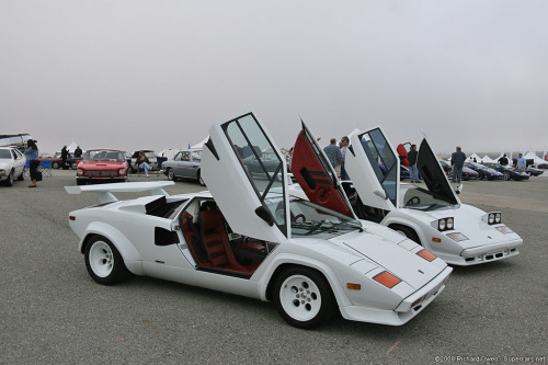 1985 white Lamborghini Countach 2 of em